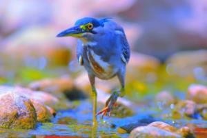 马德里竞技遭受小挫，晋级希望仍在