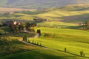 雷霆队球员走进社区：与当地青少年篮球队的温情一日