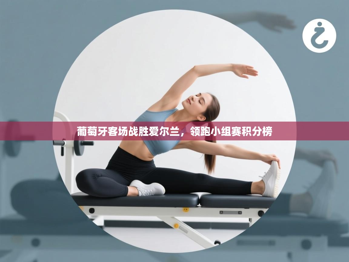 葡萄牙客场战胜爱尔兰，领跑小组赛积分榜  第2张